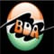 Banarsi Dass Arya College logo